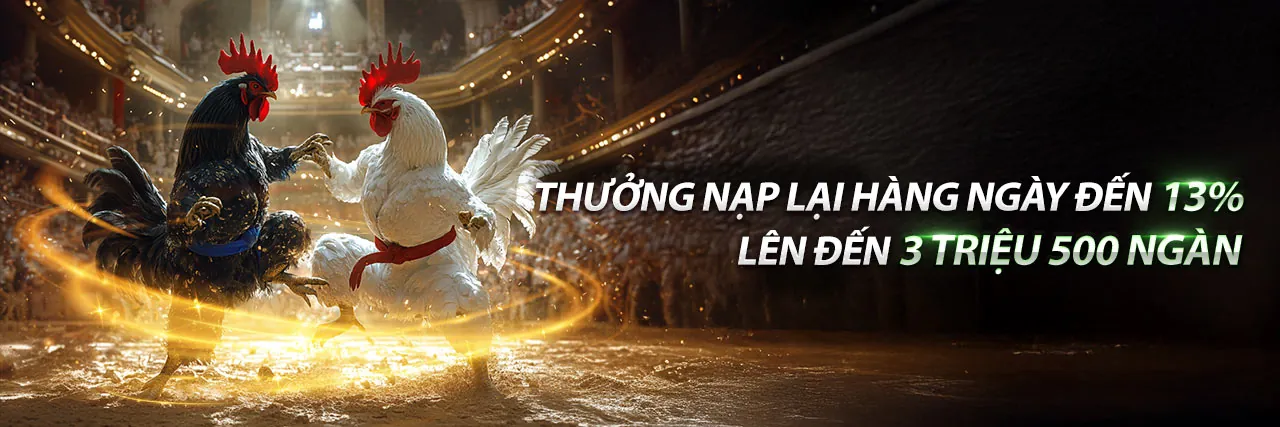Đá Gà Thomo 30 7 2023 - Gà chiến dũng mãnh